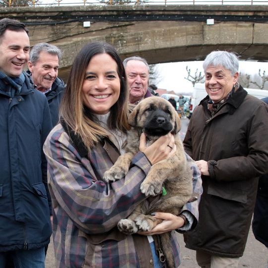 Nuria Rubio reclama a la Junta que cumpla su compromiso y arregle la LE-213 entre Gradefes y Puente Villarente (León) | Peio García / ICAL