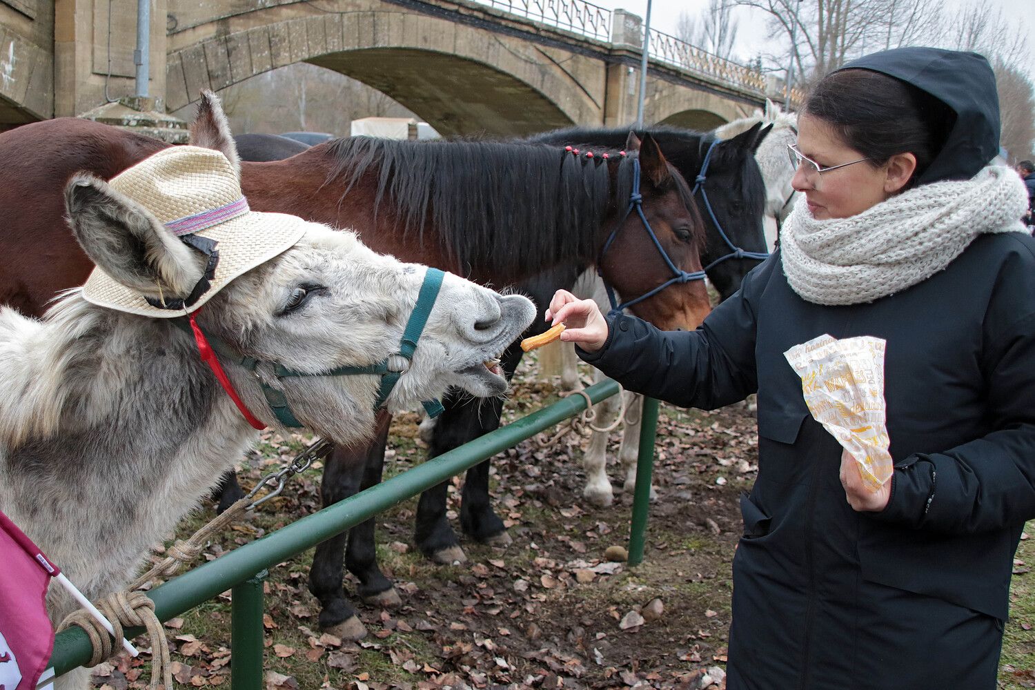 Visita del PSOE a la VIII Feria Agroalimentaria Comarca de Rueda de Gradefes (León)