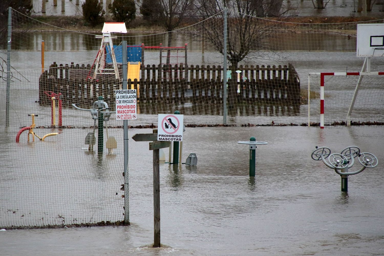 Desbordamiento del río Órbigo a su paso por Cebrones del Río | Peio García / ICAL