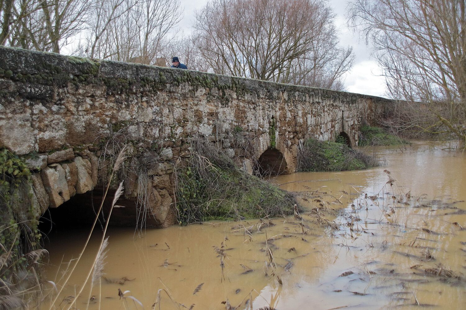 Estado del río Cea a su paso por Valderas (León) | Peio García / ICAL 