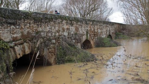 Estado del río Cea a su paso por Valderas (León) | Peio García / ICAL 