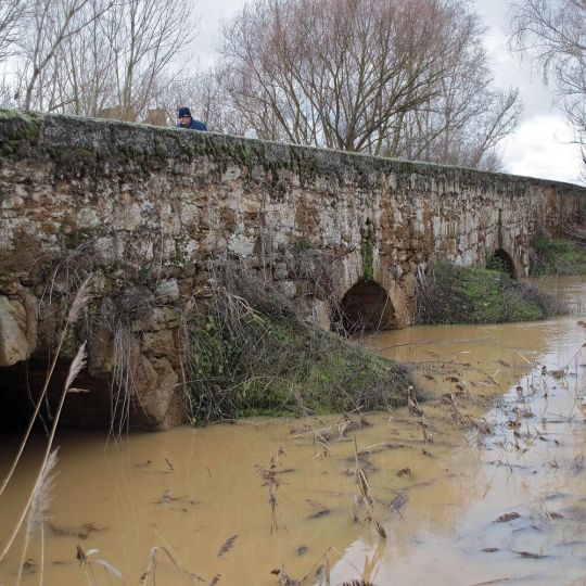 Estado del río Cea a su paso por Valderas (León) | Peio García / ICAL 