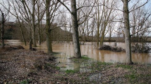 Desbordamiento del río Cea a la altura de Valderas (León) | Peio García / ICAL 