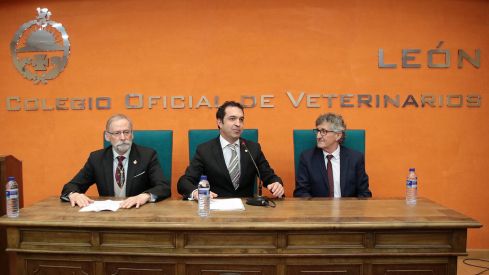El 'nuevo' Colegio de la Profesión Veterinaria de León buscará que los centros veterinarios sean centros sanitarios | Peio García /ICAL/