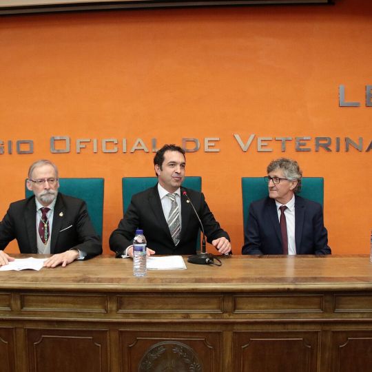 El 'nuevo' Colegio de la Profesión Veterinaria de León buscará que los centros veterinarios sean centros sanitarios | Peio García /ICAL/