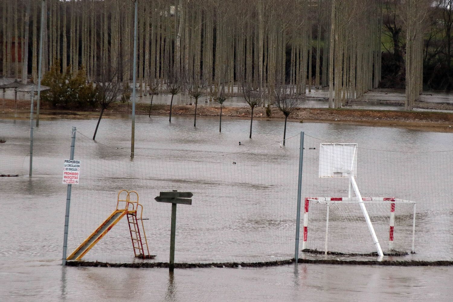 Desbordamiento del río Órbigo en Cebrones del Río | Peio García / ICAL