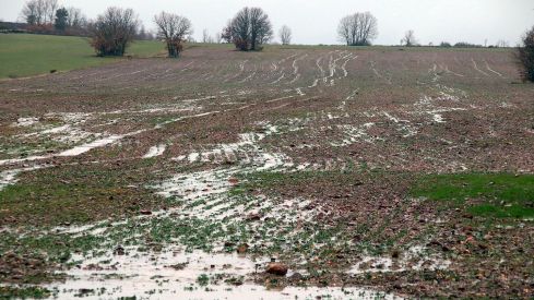 La crecida del río Tuerto inunda carreteras y cultivos en la comarca de la Cepeda (León) | Peio García / ICAL