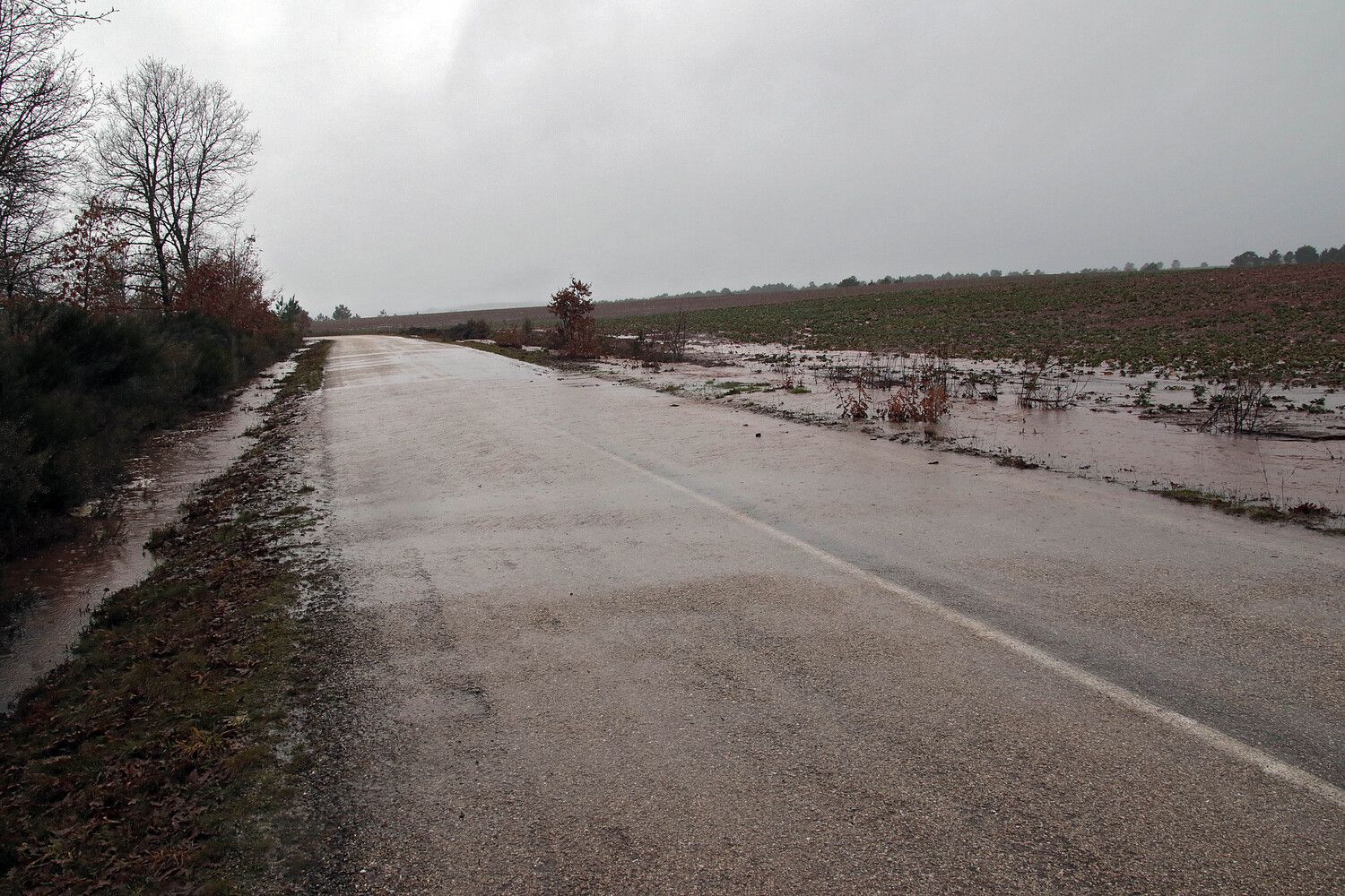 La crecida del río Tuerto inunda carreteras y cultivos en la comarca de la Cepeda (León) | Peio García / ICAL