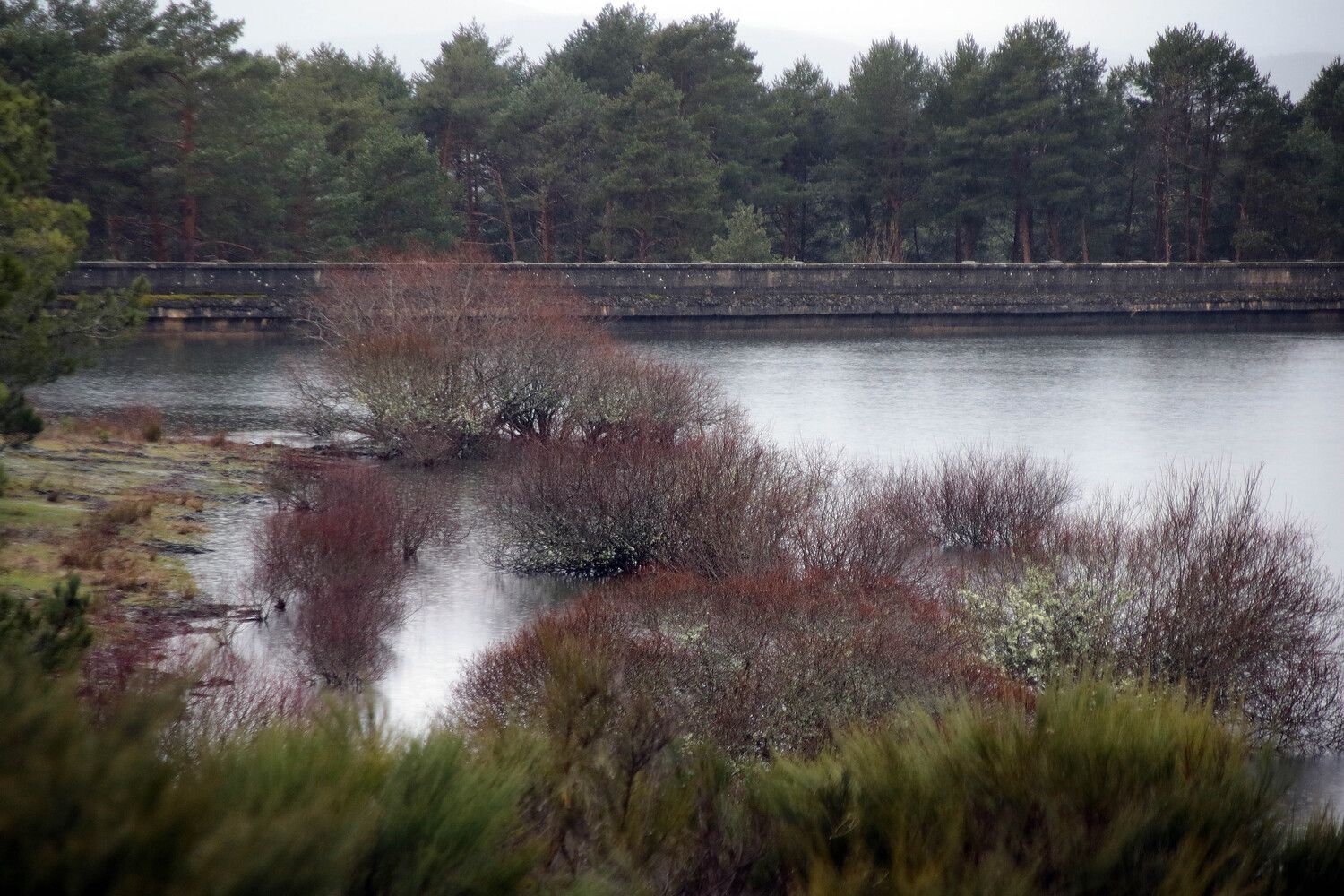 La crecida del río Tuerto inunda carreteras y cultivos en la comarca de la Cepeda (León) | Peio García / ICAL
