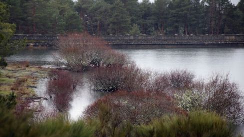 La crecida del río Tuerto inunda carreteras y cultivos en la comarca de la Cepeda (León) | Peio García / ICAL