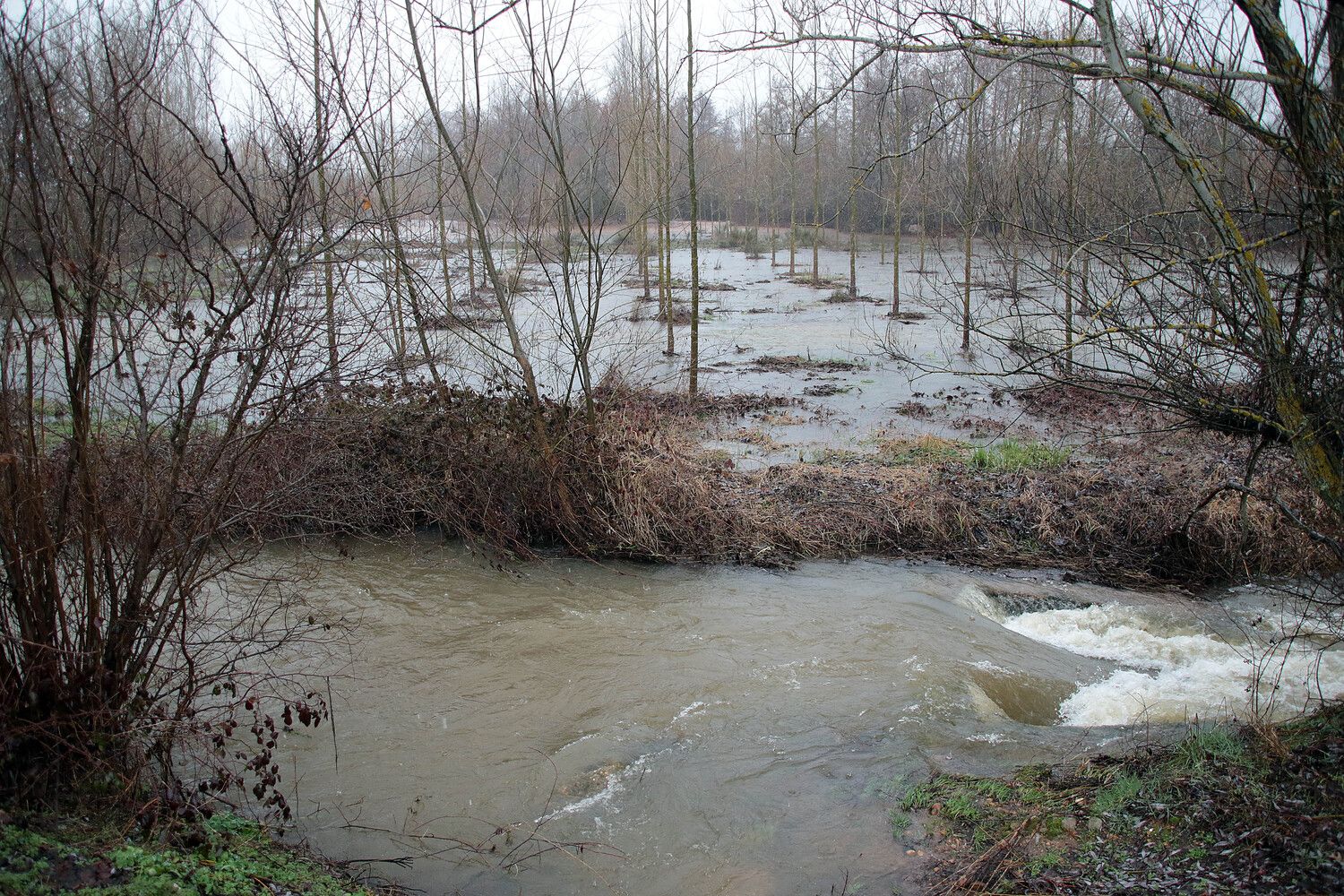 Las crecidas ponen en jaque a la provincia de León: Los desbordamientos y los fuertes caudales mantienen la alerta | Peio García / ICAL