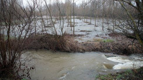 Las crecidas ponen en jaque a la provincia de León: Los desbordamientos y los fuertes caudales mantienen la alerta | Peio García / ICAL