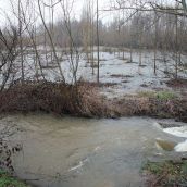 Las crecidas ponen en jaque a la provincia de León: Los desbordamientos y los fuertes caudales mantienen la alerta | Peio García / ICAL