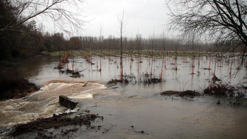 La crecida del río Tuerto inunda carreteras y cultivos en la comarca de la Cepeda (León) | Peio García / ICAL