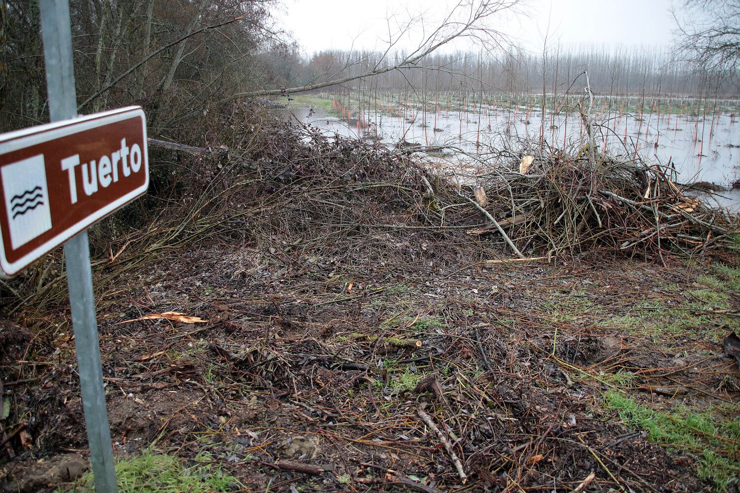 La situación de los ríos en la provincia de León mejora, pero se mantiene el nivel 2 de emergencia | Peio García / ICAL