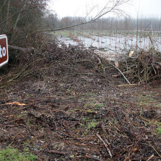 Los ríos de la provincia de León comienzan a ceder: Mejora la situación tras días de crecidas | Peio García / ICAL