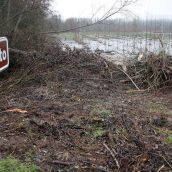 Los ríos de la provincia de León comienzan a ceder: Mejora la situación tras días de crecidas | Peio García / ICAL