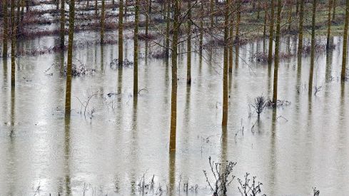 El río Órbigo se desborda en Villanueva de Carrizo (León) | Peio García / ICAL