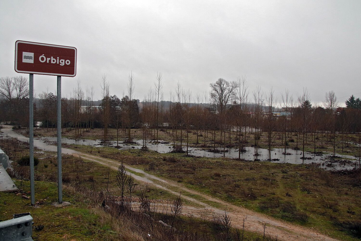 El río Órbigo se desborda en Villanueva de Carrizo (León) | Peio García / ICAL
