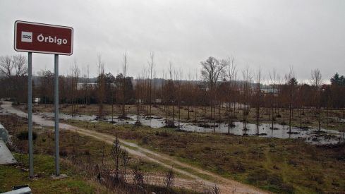 El río Órbigo se desborda en Villanueva de Carrizo (León) | Peio García / ICAL