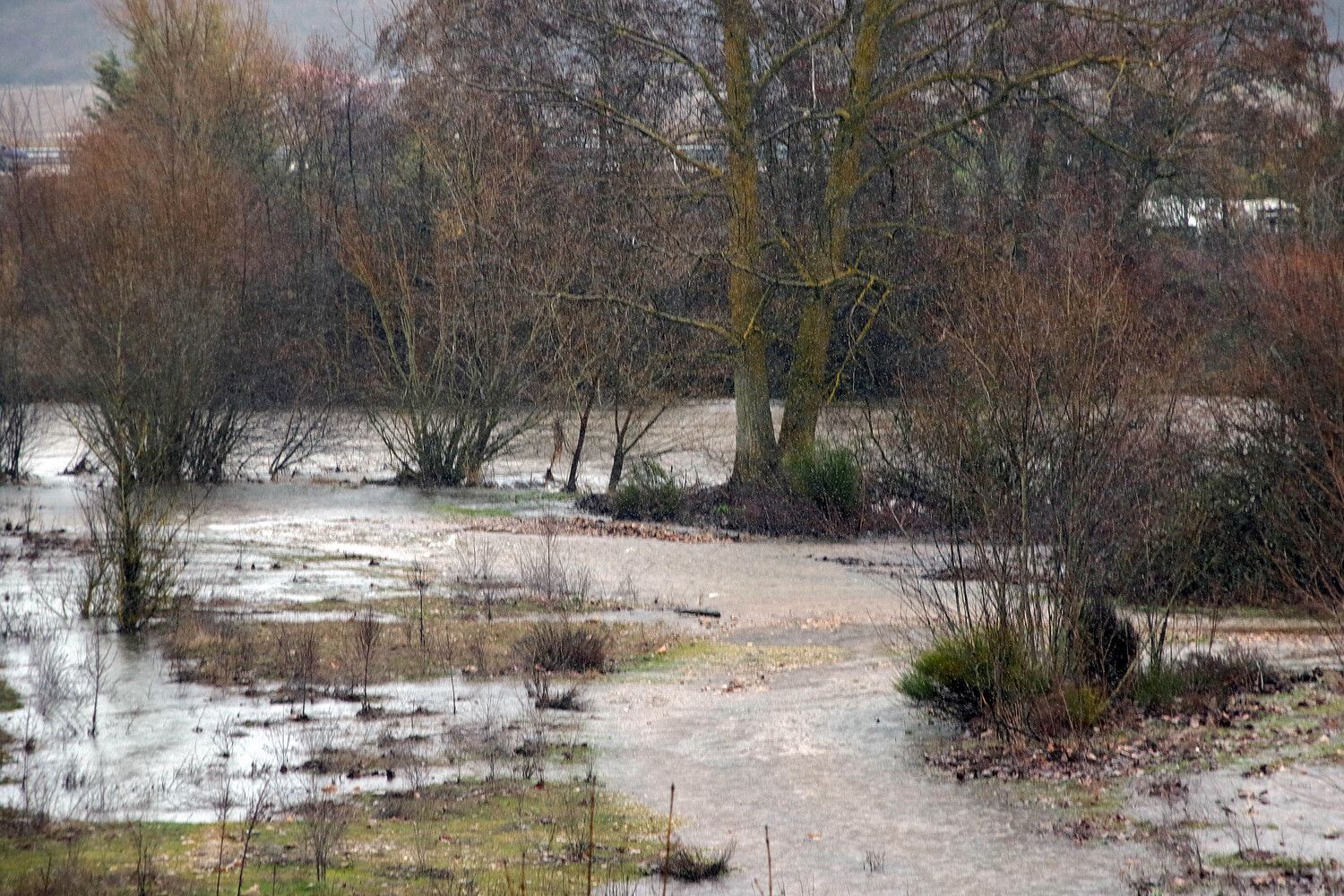 El río Órbigo se desborda en Villanueva de Carrizo (León) | Peio García / ICAL El río Órbigo se desborda en Villanueva de Carrizo (León) | Peio García / ICAL