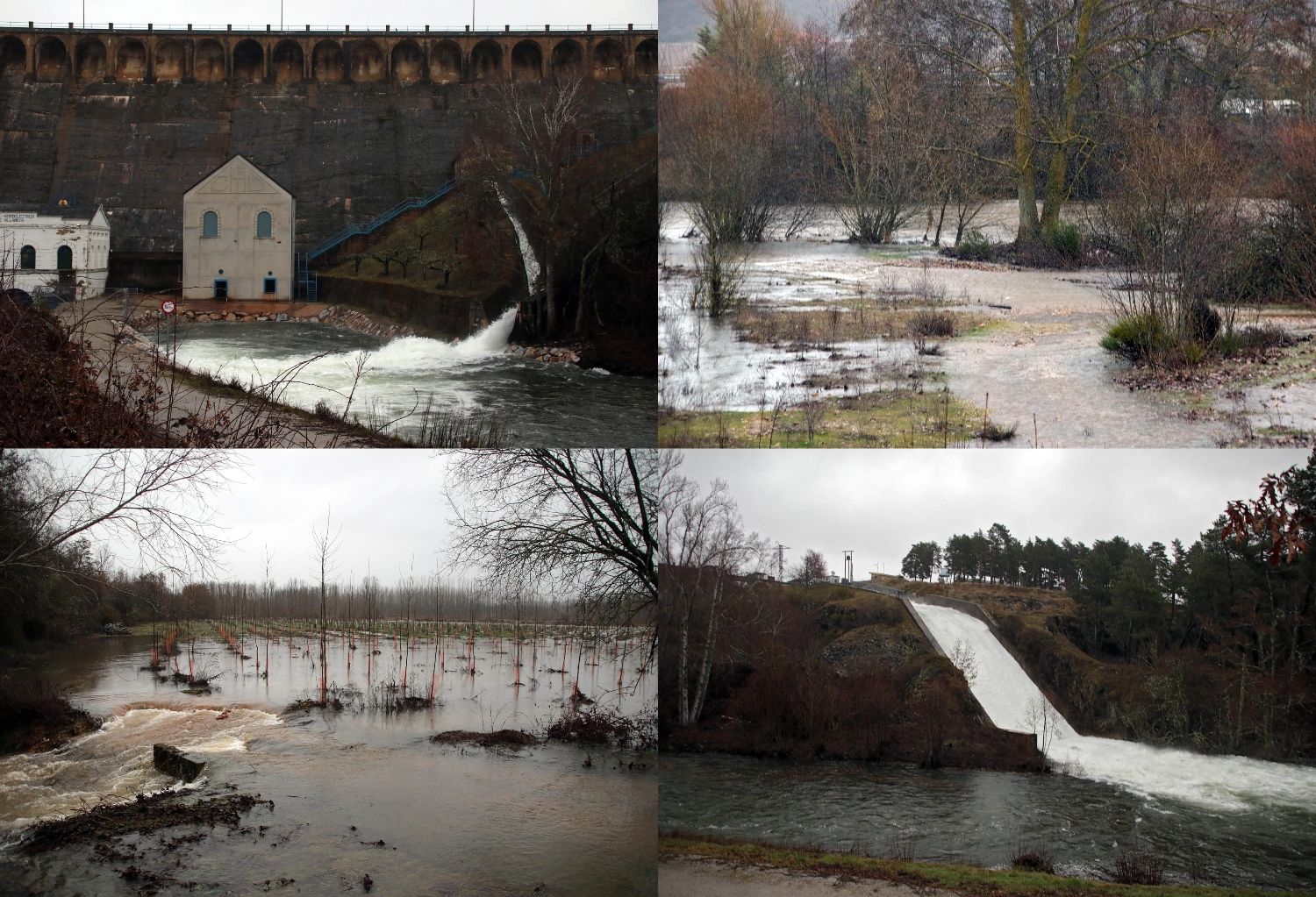 La 'furia' del agua: Así anegan el Tuerto y el Órbigo varias zonas de la provincia de León
