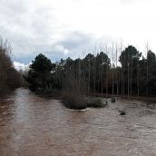 Río Tuerto a su paso por Castrillos de Cepeda | Peio García / ICAL Río Tuerto a su paso por Castrillos de Cepeda | Peio García / ICAL