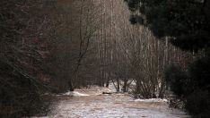 Río Tuerto | Peio García / ICAL