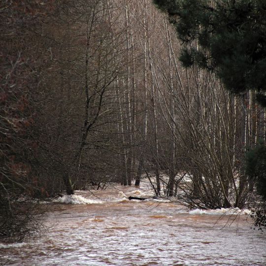 Estado de Castrillos de Cepeda tras las inundaciones generadas por la crecida del río Tuerto | Peio García / ICAL Estado de Castrillos de Cepeda tras las inundaciones generadas por la crecida del río Tuerto | Peio García / ICAL