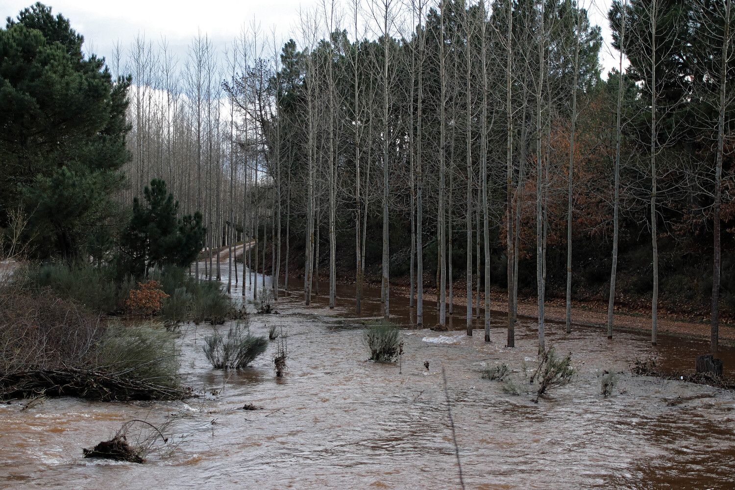 Estado de Castrillos de Cepeda tras las inundaciones | Peio García / ICAL