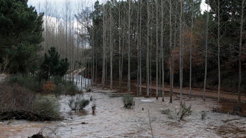 Estado de Castrillos de Cepeda tras las inundaciones generadas por la crecida del río Tuerto | Peio García / ICAL