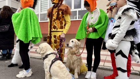 Desfile de Carnaval de San Andrés del Rabanedo