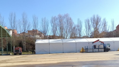 El PSOE coyantino denuncia “caos organizativo” y el anegamiento de Complejo La Isla ante la Feria de Febrero El PSOE coyantino denuncia “caos organizativo” y el anegamiento de Complejo La Isla ante la Feria de Febrero