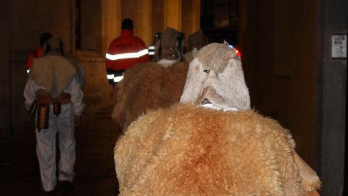 León se despide del Carnaval con el Entierro de la Sardina | José Martín