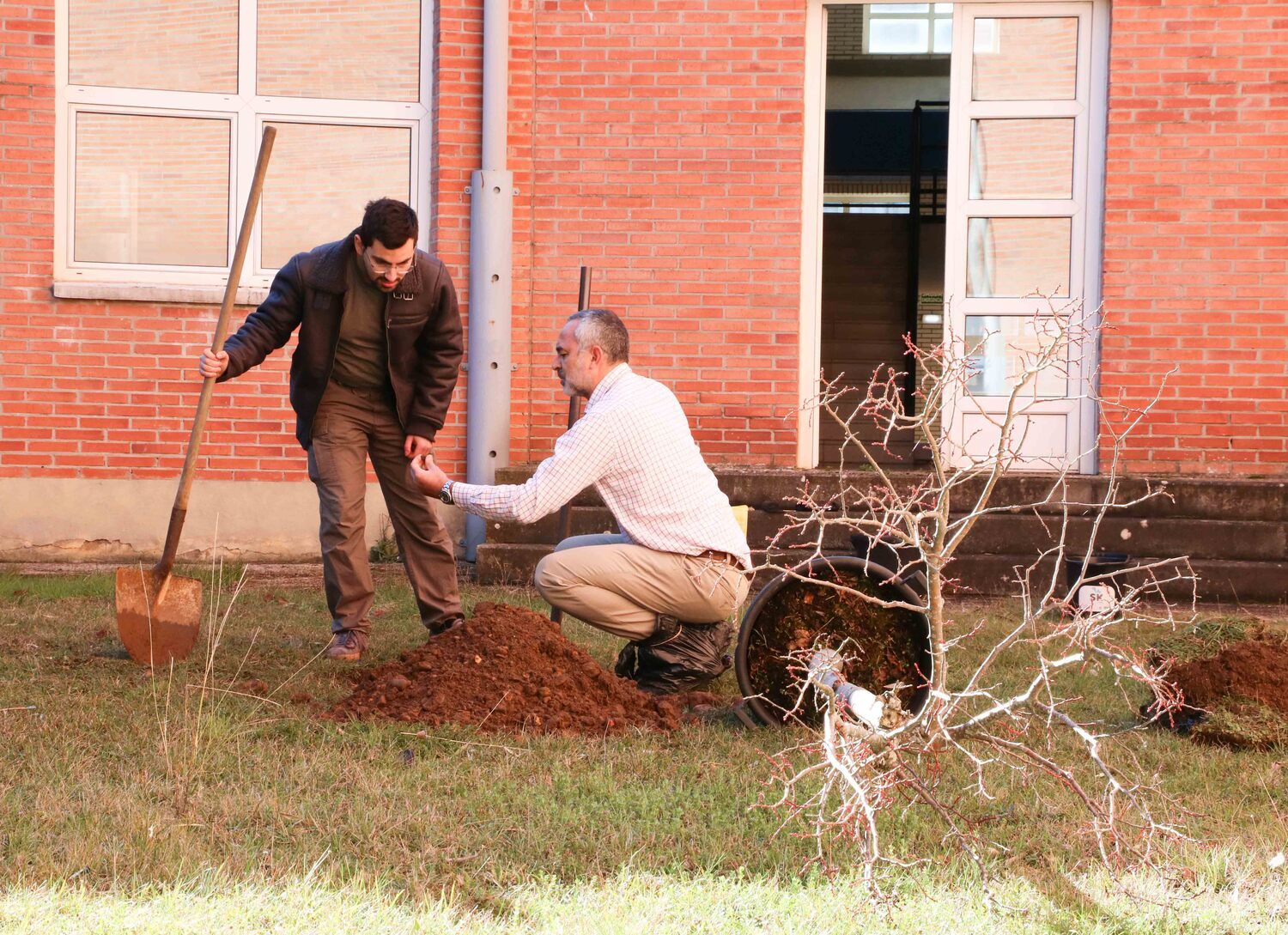 Sergio Boixo plantando un tilo en la ULE Sergio Boixo plantando un tilo en la ULE