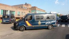 Vehículos de la Unidad de Intervención Policial (UIP) de la Policía Nacional durante una intervención en León | Campillo / ICAL