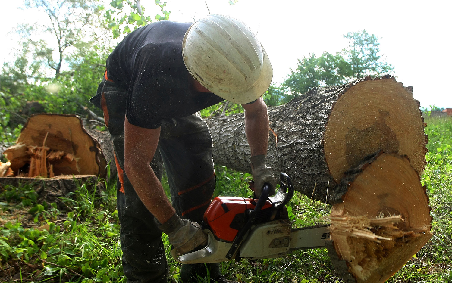 Un trabajador en una finca de El Bierzo