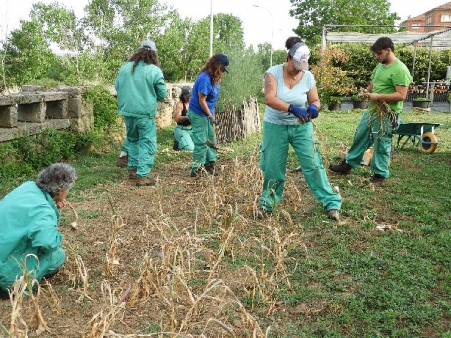 Programa mixto 'Monte San Isidro'