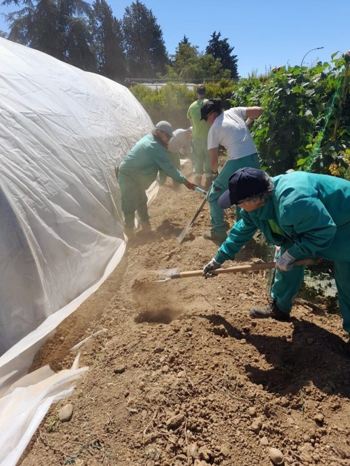 Programa mixto 'Monte San Isidro'