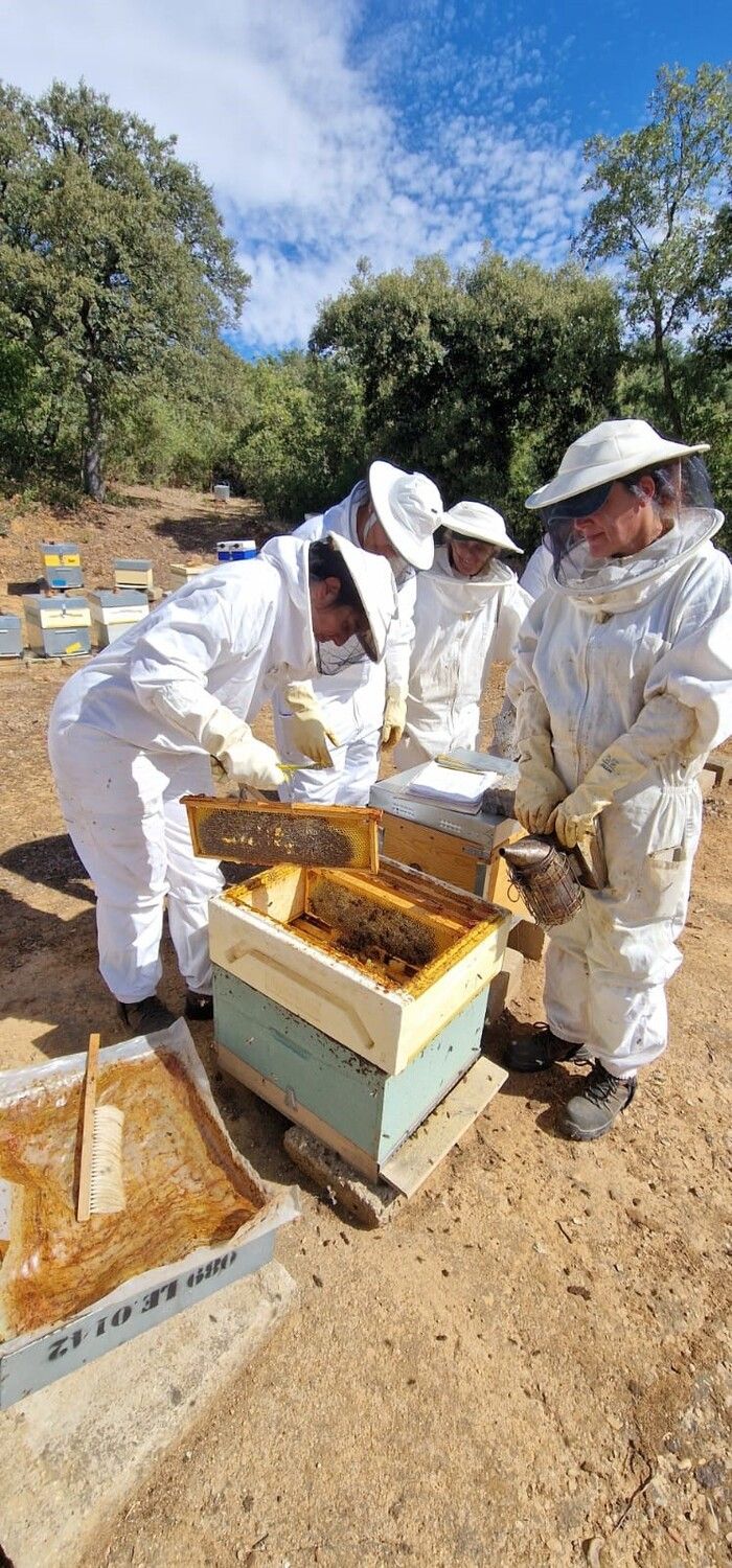 Programa mixto 'Monte San Isidro'