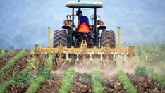 Agricultura | UPL reclama "más prioridad laboral" al sector primario en detrimento de la 'prioridad nacional' Agricultura | UPL reclama "más prioridad laboral" al sector primario en detrimento de la 'prioridad nacional'