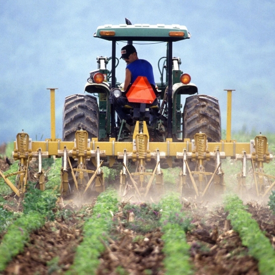 Agricultura | UPL reclama "más prioridad laboral" al sector primario en detrimento de la 'prioridad nacional' Agricultura | UPL reclama "más prioridad laboral" al sector primario en detrimento de la 'prioridad nacional'