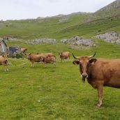 El Tribunal Supremo inadmite el recurso de Mieres confirma su actividad ilegal en el Puerto de Pinos (León)
