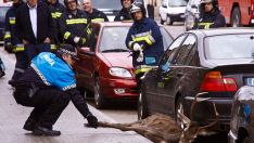 Imagen de archivo de un ciervo atrapado en las calles de Zamora | J. L. Leal / ICAL Imagen de archivo de un ciervo atrapado en las calles de Zamora | J. L. Leal / ICAL