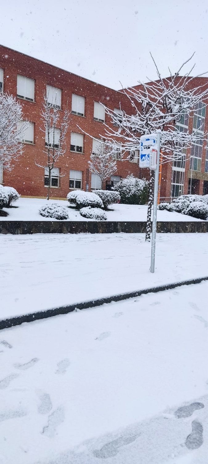 Una parada de bus durante una nevada