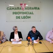 Comparecencia de las organizaciones agrarias leonesas para hablar de la renovación de contratos con la industria lechera | Peio García / ICAL