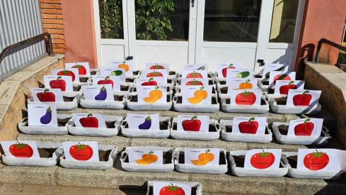 Del colegio al huerto: El Gadañón enseña a cuidar plantas en colaboración con la Fundación Presta Ayuda | Fundación Presta! Ayuda