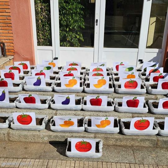 Del colegio al huerto: El Gadañón enseña a cuidar plantas en colaboración con la Fundación Presta Ayuda | Fundación Presta! Ayuda