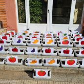 Del colegio al huerto: El Gadañón enseña a cuidar plantas en colaboración con la Fundación Presta Ayuda | Fundación Presta! Ayuda