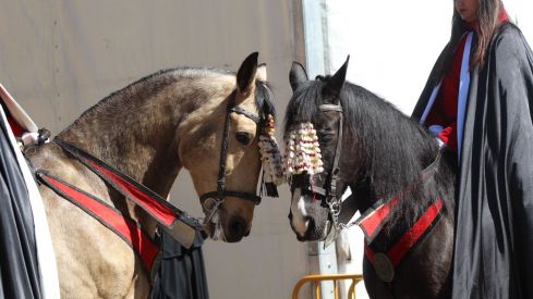 El Pregón a Caballo de las Siete Palabras tiñe de rojo las calles de León en Jueves Santo | José Martín